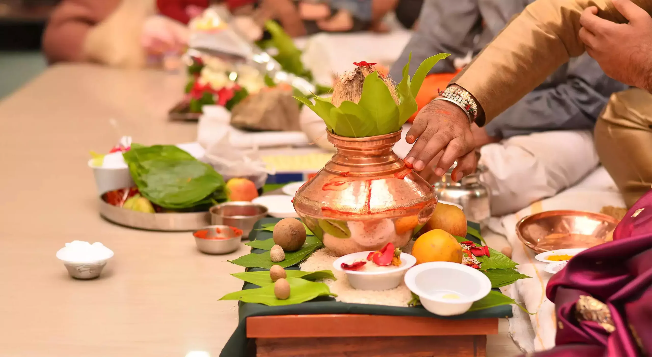 Acharya Pandit Santosh Nagar