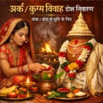 Ark / Kumbh Vivah - Image 2